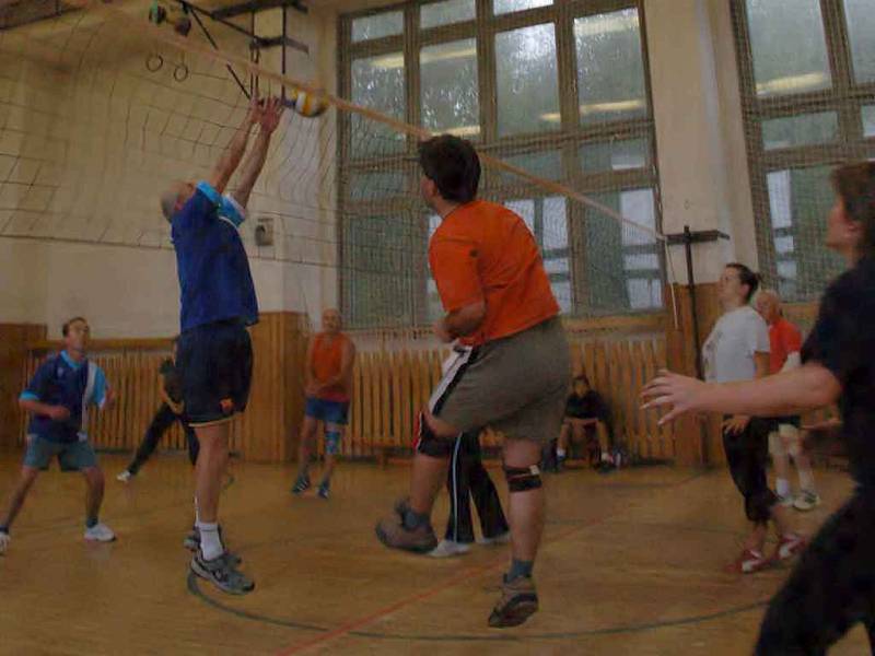 Volejbalový turnaj u příležitosti 810. výročí obce Dolní Žandov