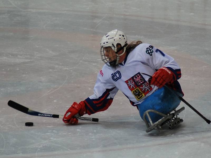 SLEDGE hokejista Míra Hrbek v akci při reprezentačním zápase.