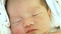 VIET TIEP TRAN DINH, chlapeček, se narodil ve čtvrtek 13. října v 19.47 hodin. Při narození vážil 2650 gramů a měřil 48 centimetrů. Doma v Chebu se z malého synka raduje maminka Dinh Thi Huong a tatínek Tran Van Cuong.