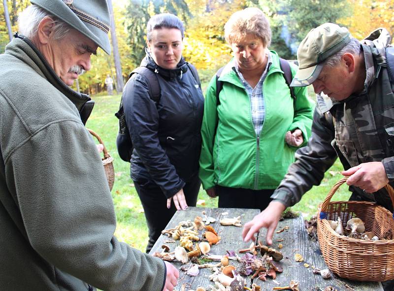 Které houby jsou ještě jedlé a které už není vhodné na podzim sbírat? Nejen to se dozvěděli lidé, kteří se o víkendu zúčastnili symbolického zamykání lesa na Zelené hoře u Chebu.