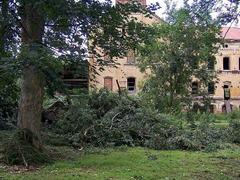 Mostov po vichřici v létě 2005. Z tehdy vyvrácených stromů letos sochaři tvořili