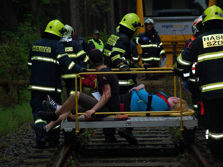 DESÍTKY ZRANĚNÝCH museli zachránit hasiči a zdravotníci z havarovaného vlaku u Studánky u Aše, kde se uskutečnilo cvičení složek integrovaného záchranného systému.
