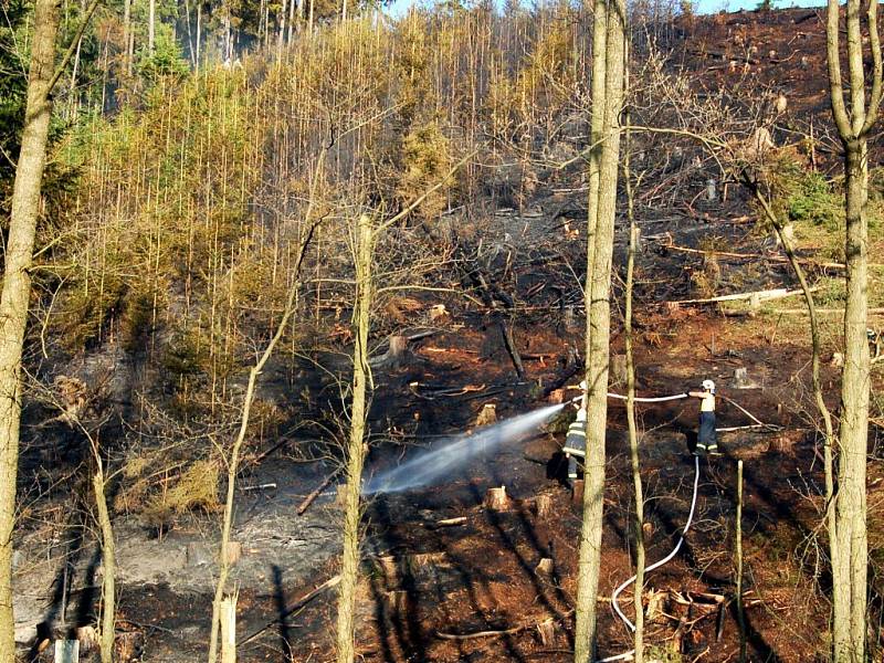 Požár lesního porostu u státní hranice nedaleko od Starého Hrozňatova na Chebsku