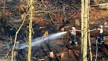 Požár lesního porostu u státní hranice nedaleko od Starého Hrozňatova na Chebsku