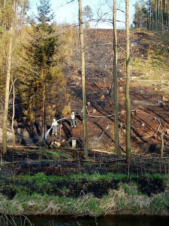 Požár lesního porostu u státní hranice nedaleko od Starého Hrozňatova na Chebsku