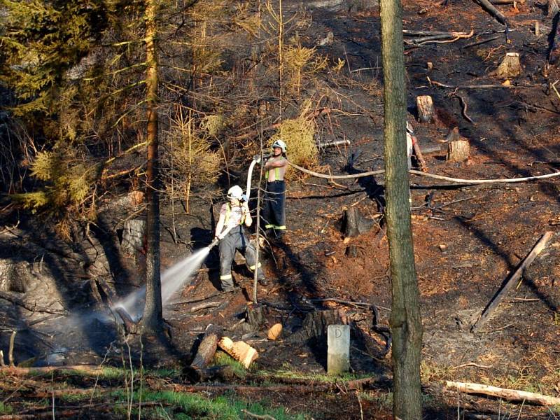 Požár lesního porostu u státní hranice nedaleko od Starého Hrozňatova na Chebsku