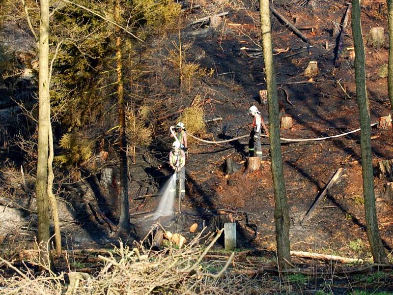 Požár lesního porostu u státní hranice nedaleko od Starého Hrozňatova na Chebsku