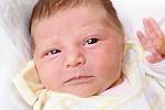 PETRA TRÁVNÍČKOVÁ se narodila ve čtvrtek 25. prosince v 7.53 hodin. Při narození vážila 3 000 gramů a měřila 48 centimetrů. Doma v Chebu se z malé Petrušky radují sourozenci Dominik s Nikolou, maminka Petra a tatínek Otakar.