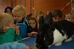 Na výstavu zvířat v německém Hohenbergu zavítaly děti z Domu dětí a mládeže Sova v Chebu.