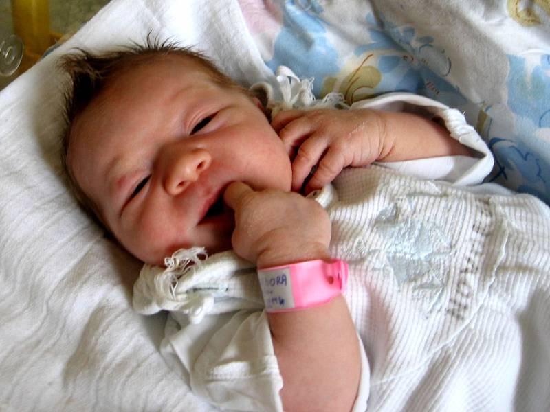 BARBORA LAUČÍKOVÁ z Aše přišla na svět v chebské porodnici 7. června ve 22.15 hodin. Měřila 49 centimetrů a vážila 3,18 kilogramu