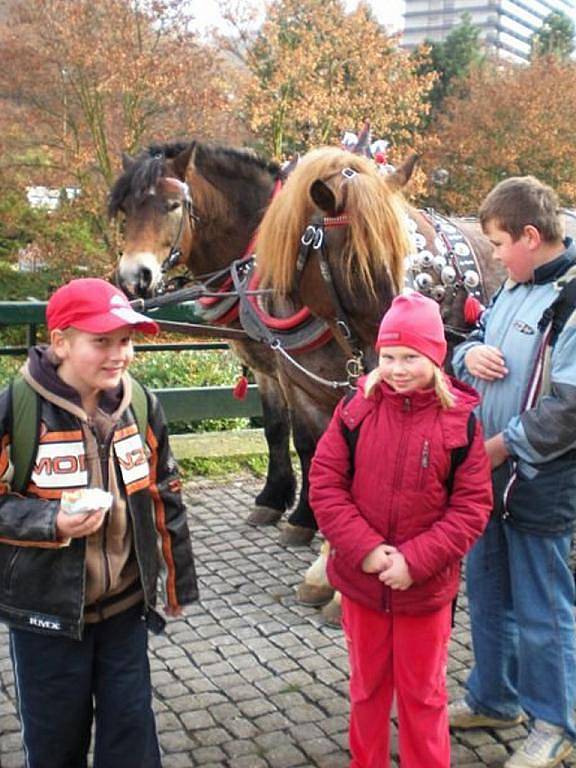 Dům dětí a mládeže Sova přichystal pro děti výlet do Karlových Varů. Děti si prohlédli sklárnu Moser, horké Vřídlo a projeli se lanovkou k rozhledně Dianě.