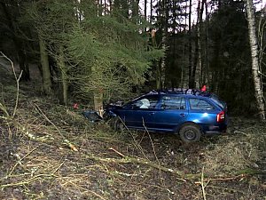 Muž, který se svým autem skončil ve stromě, musel být záchranáři převezen do nemocnice.