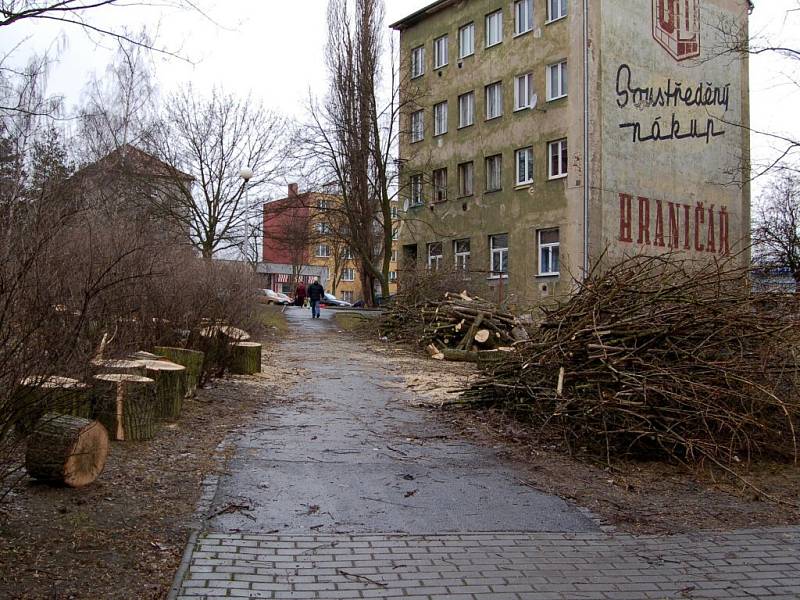 KDYŽ SE KÁCÍ STROMY, TÉMĚŘ VŽDY je mezi občany zle. Naposledy se obyvatelé Chebu zlobili při úpravách v parku u chebské Palackého ulice. 