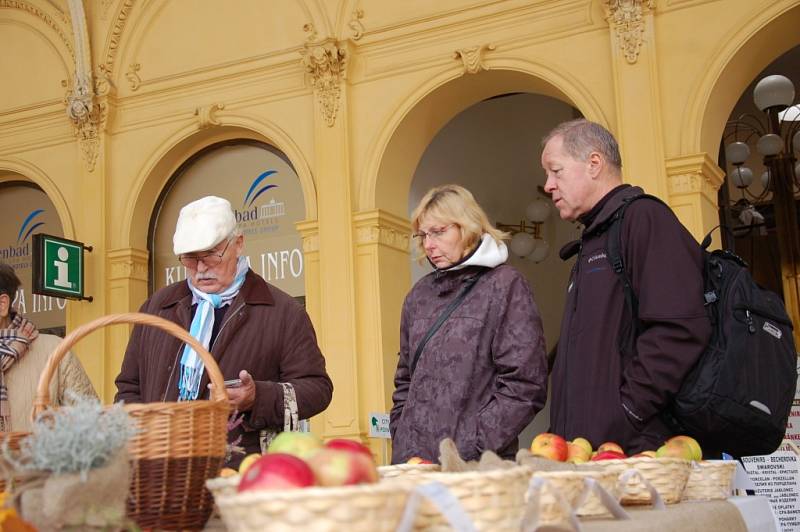VZÁCNÉ I BĚŽNÉ odrůdy jablek mohli návštěvníci vidět a ochutnat na Festivalu jablek v Mariánských Lázních. 