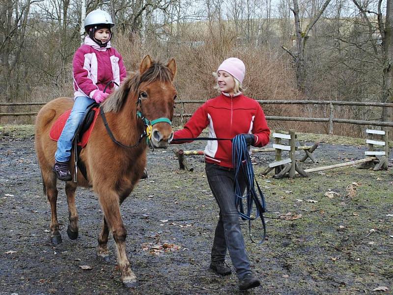 Chebský dům dětí a mládeže obývají dva noví poníci, Jolita a Míša. Jolita umí i zajímavé kousky