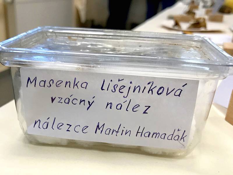 Tradiční houbařská výstava v Mariánských Lázních.