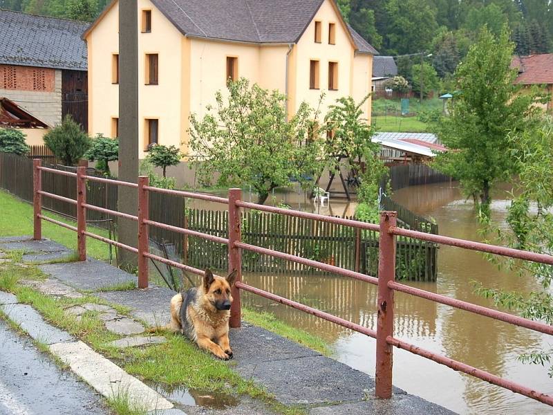 Část Lipoltova na Chebsku zaplavil rozvodněný potok. 