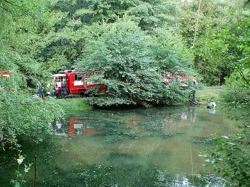 Hasiči na žádost policie odčerpávali vodu z rybníka ve Štítarech u Aše, který se nachází v těsné blízkosti neštěstí, aby umožnili pátrání po vražedné zbrani. 