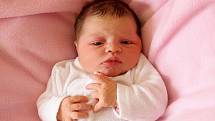 LUCIE KOHOUTOVÁ bude mít v rodném listě datum narození úterý 1. dubna v 4.05 hodin. Na svět přišla s váhou 3 400 gramů a mírou 50 centimetrů. Maminka Kateřina a tatínek Josef se radují z malé Lucinky doma v Chebu.