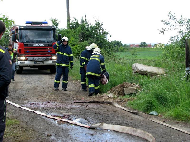 Složky Integrovaného záchranného systému nacvičovaly u Potočiště na Chebsku zásah po zemětřesení