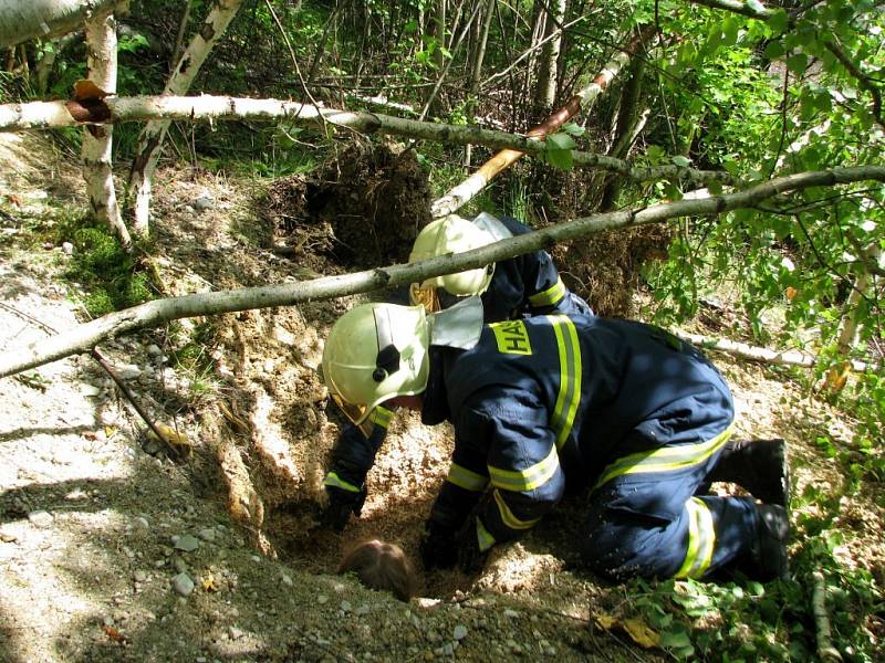 Složky Integrovaného záchranného systému nacvičovaly u Potočiště na Chebsku zásah po zemětřesení