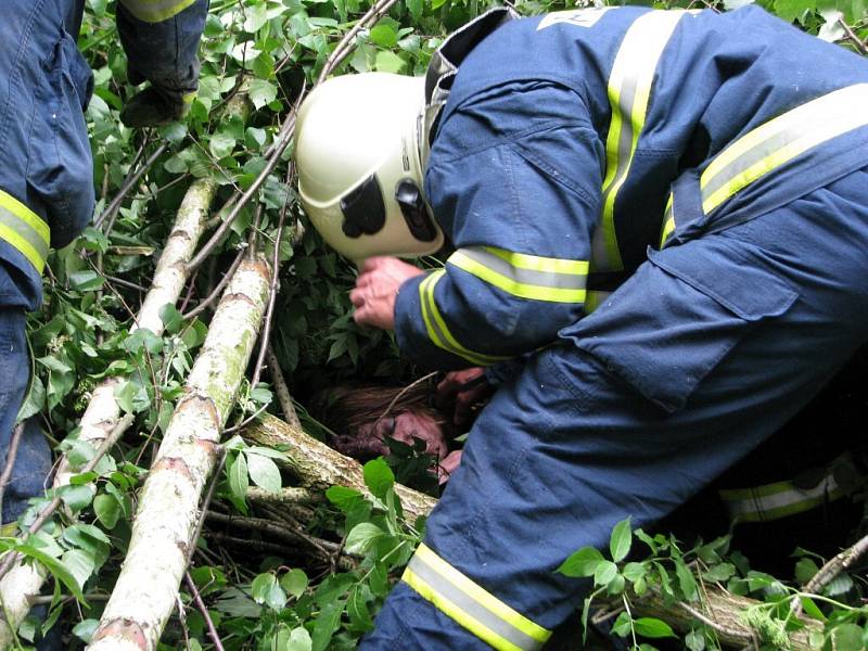 Složky Integrovaného záchranného systému nacvičovaly u Potočiště na Chebsku zásah po zemětřesení