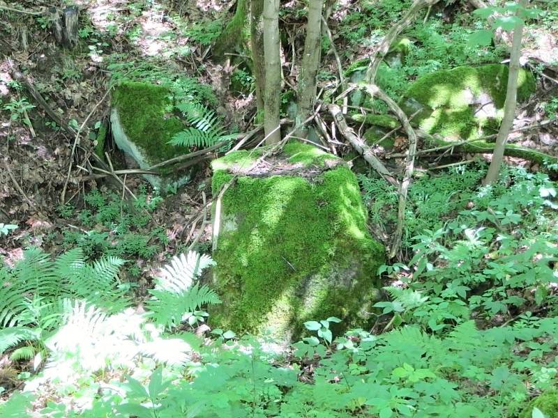 DESET MILIONŮ STARÝ vulkán Podhorní vrch nabízí i dnes neuvěřitelný rozhled do krajiny. Tento přírodní útvar se nachází nedaleko nově nalezené sopky u obce Rájov. Ta však dnes již není běžným pohledem zřetelná.