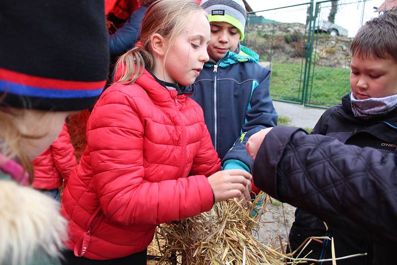 Už páté Slámování se uskutečnilo v Dolním Žandově. Účastníci tradiční akce si mohli nejen vyrobit krásné výrobky ze slámy, ale hlavně pomoci při úpravě figur slaměného betléma a při tvoření jeho dalších figur. Postavy v jednom z minulých ročníků vyrobili 