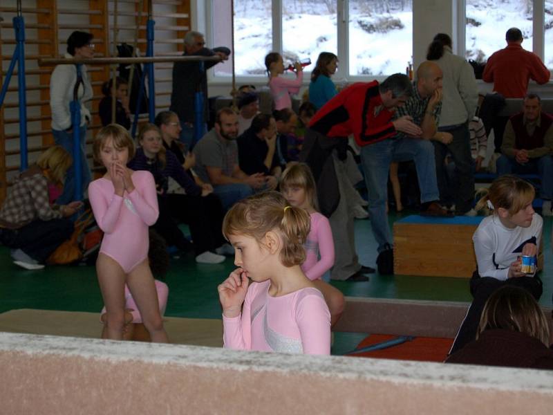  Úspěšný sportovní výjezd do krajské metropole mají za sebou františkolázeňská děvčata z oddílu sportovní gymnastiky působícím při františkolázeňském Domu dětí a mládeže Žírovice. 