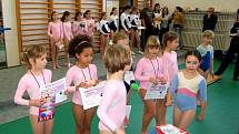  Úspěšný sportovní výjezd do krajské metropole mají za sebou františkolázeňská děvčata z oddílu sportovní gymnastiky působícím při františkolázeňském Domu dětí a mládeže Žírovice. 