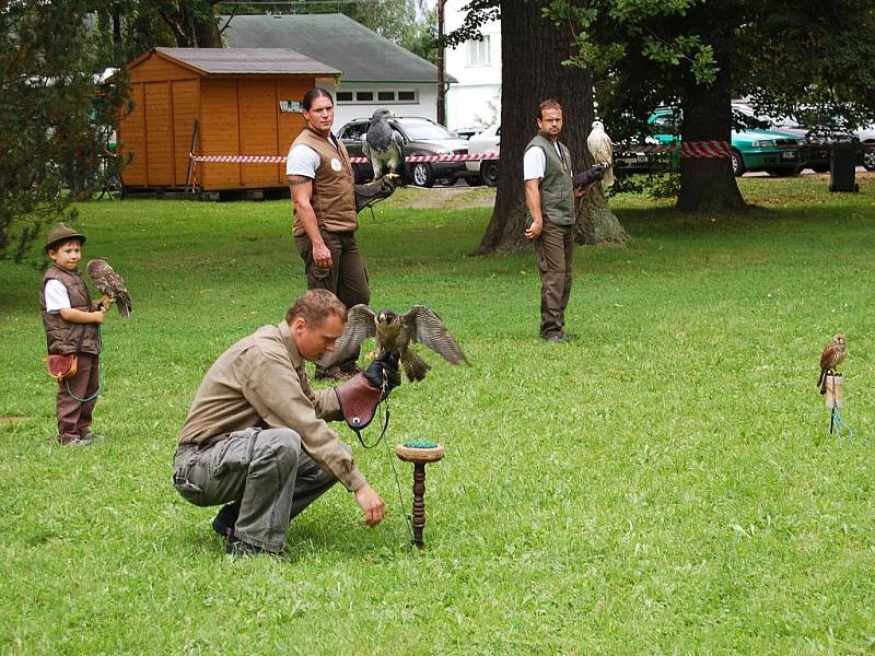 Devět dravců mohli lidé spatřit o víkendu v Přírodní rezervaci Soos u Nového Drahova. Konala se zde ukázka orlů, poštolek a dalších opeřenců.