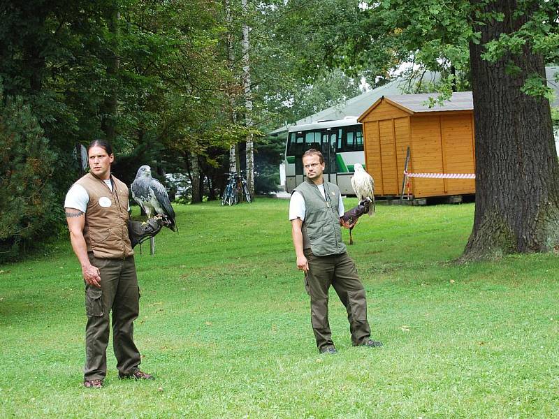 Devět dravců mohli lidé spatřit o víkendu v Přírodní rezervaci Soos u Nového Drahova. Konala se zde ukázka orlů, poštolek a dalších opeřenců.