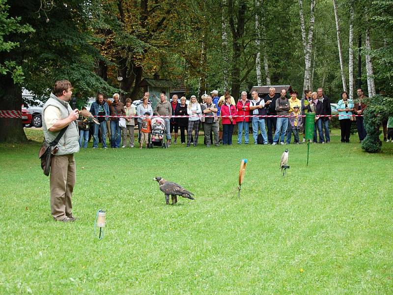 Devět dravců mohli lidé spatřit o víkendu v Přírodní rezervaci Soos u Nového Drahova. Konala se zde ukázka orlů, poštolek a dalších opeřenců.