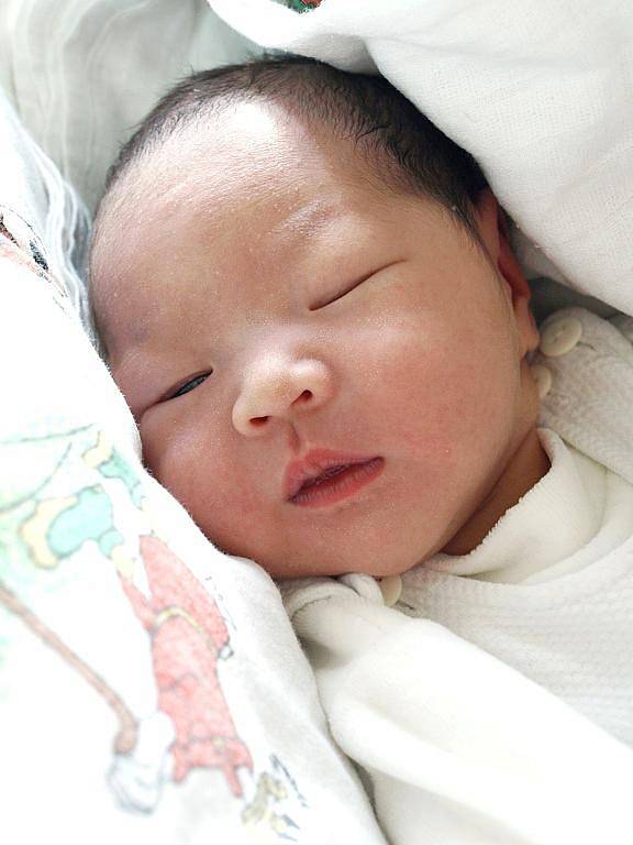 HAN LUU NGOC, holčička, se narodila ve středu 25. ledna v 17.20 hodin. Při narození vážila 3150 gramů a měřila 49 centimetrů. Z malé holčičky se těší doma v Chebu dvě sestřičky, maminka Do Thi Thu a tatínek Hanh.