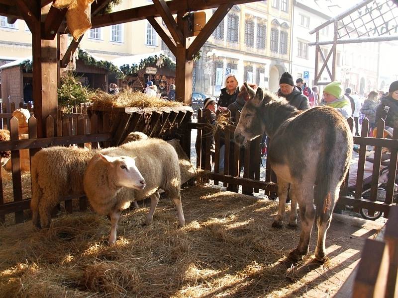 Letošní jedinečné vánoční trhy na chebském náměstí i přes týden lákají mnoho Chebanů i lidí z okolí.