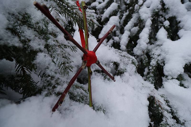 Zasněženou magickou Podhoru využili fotografové, nazdobili vánoční strom.