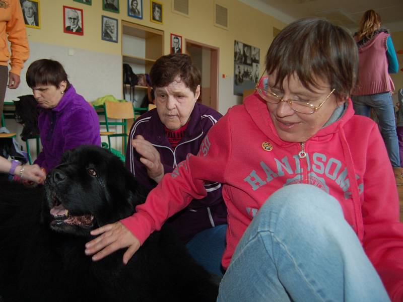 FESTIVAL POROZUMĚNÍ. Šestnáctý ročník festivalu, který propojuje svět zdravých a handicapovaných lidí, nabídl canis dílnu.