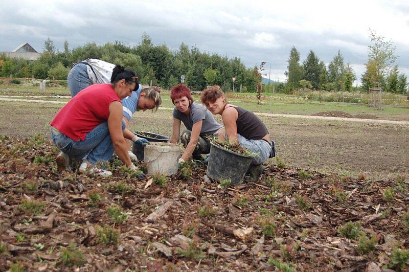 Německé a polské děti pracují na úpravě okolí hrobů válečného hřbitova v Chebu