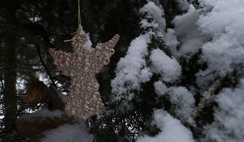 Zasněženou magickou Podhoru využili fotografové, nazdobili vánoční strom.