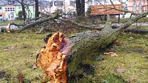 V městských sadech v Chebu větrová bouře Sabina zlomila strom a ulámala několik větví.