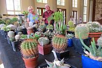 Jedinečná výstava 250 kaktusů a sukulentů byla k vidění ve Dvoraně Glauberových pramenů ve Františkových Lázních.