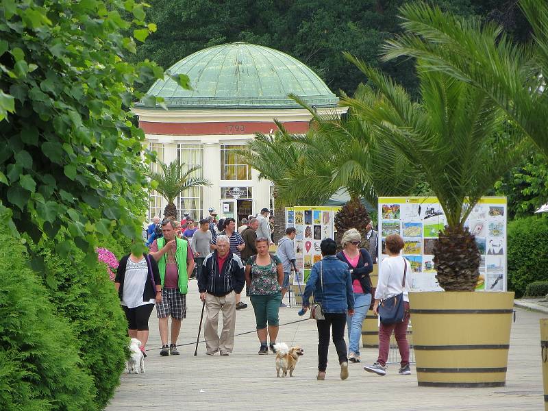 Přes osm stovek vtipů bylo týden vidět na Národní třídě ve Františkových Lázních. Konal se tu totiž pátý ročník Mezinárodního festivalu kresleného humoru.