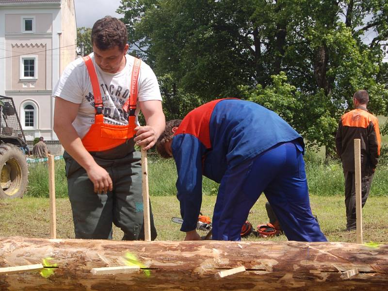 PRAPILA PODRUHÉ. V Pramenech poměřili své síly dřevorubci.