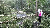 Polámané stromy zbyly po údajném tornádu u Chebu. Podle svědka se tornádo mělo vyskytnout na slapanské cyklostezce po bouřce. Meteorologové však potvrdili, že se jednalo o húlavu. 