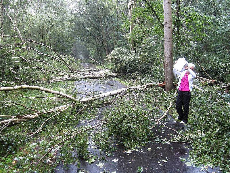 Polámané stromy zbyly po údajném tornádu u Chebu. Podle svědka se tornádo mělo vyskytnout na slapanské cyklostezce po bouřce. Meteorologové však potvrdili, že se jednalo o húlavu. 