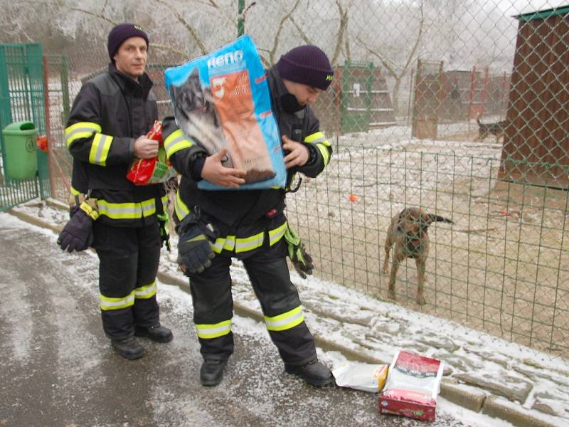 ČLENOVÉ Sboru dobrovolných hasičů Cheb Háje věnovali psímu útulku v Hraničné 8 tisíc korun. Následně vyrazili pejsky vyvenčit.