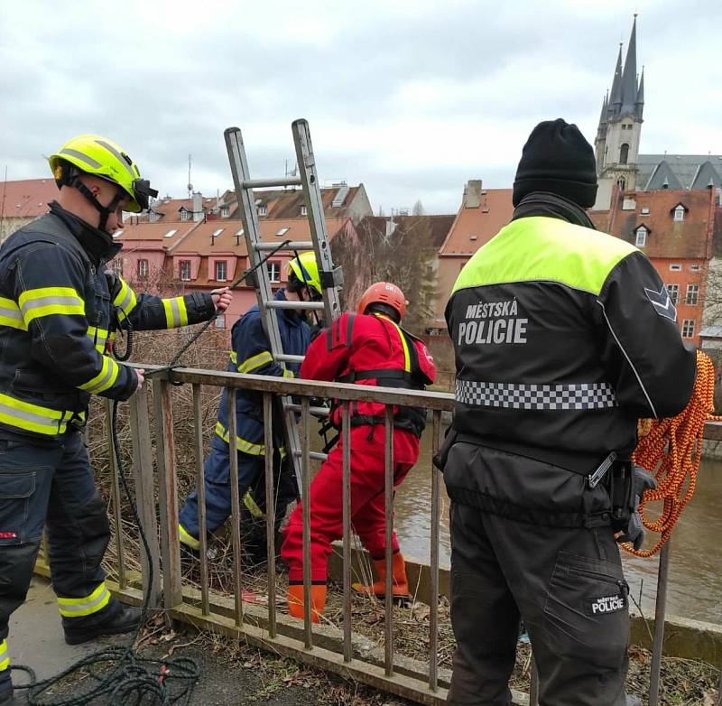 Úspěšnou záchranu podchlazeného muže z koryta Ohře předvedli hasiči ze stanice Cheb společně se strážníky městské policie.