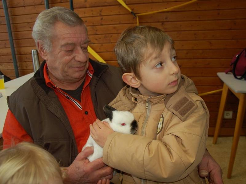 Na výstavu zvířat v německém Hohenbergu zavítaly děti z Domu dětí a mládeže Sova v Chebu.