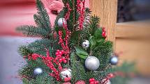 Vánoční výzdoba začíná vykukovat na každém kroku a Vánoce klepou na dveře. První adventní neděle se blíží. S Deníkem jsme se byli podívat, jaké jsou trendy ve vánočních věncích.