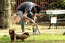 Ašská radnice rozdává pejskařům plastové sáčky na psí exkrementy, i když některým z nich se to nelíbí. Jak ovšem radnice podotýká, rozdávání sáčků není její povinnost, chce tím podpořit odpovědnost majitelů psů. Mnohdy zbytečně. 
